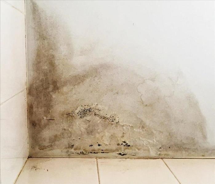 wall with water damage