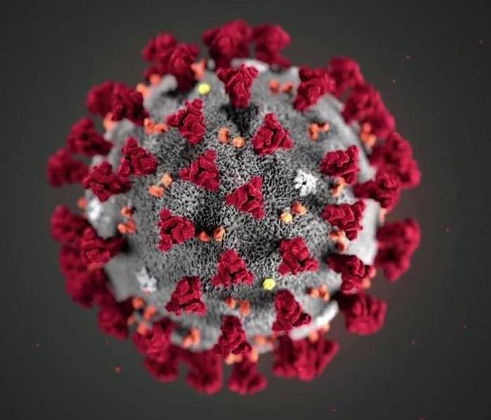 Virus with red and orange sprouts on a grey background