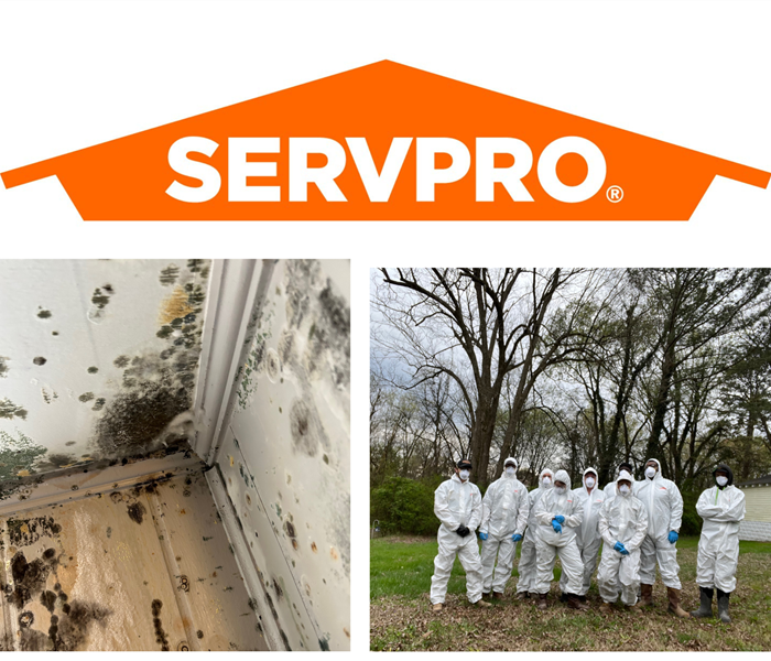 A collage with three images; SERVPRO orange logo, mold growth in a customer's home, and our team suited up to fight it